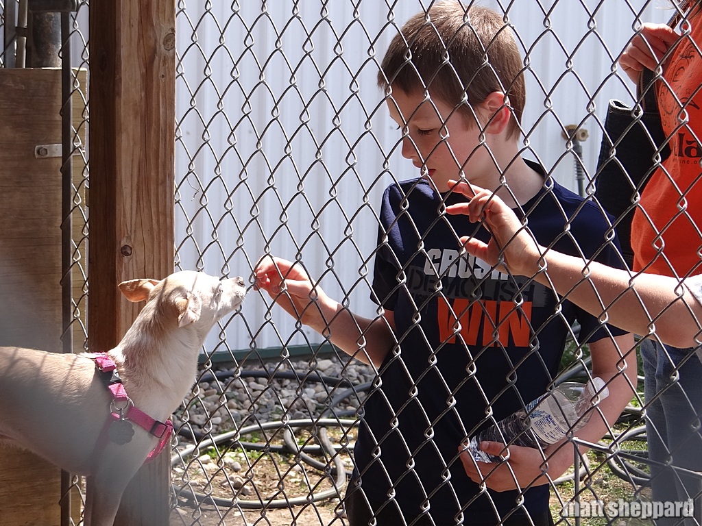 James River Humane Society Open House May 17, 2014